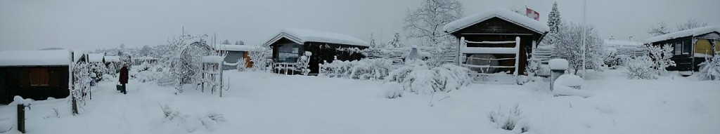 IMG_20141228_103728573